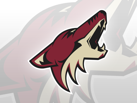 Phoenix Coyotes