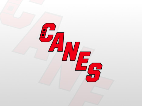 Carolina Hurricanes